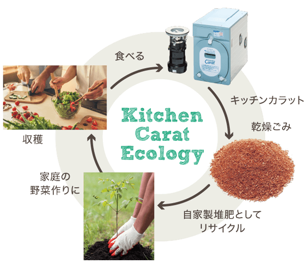 Kitchen Carat Ecology